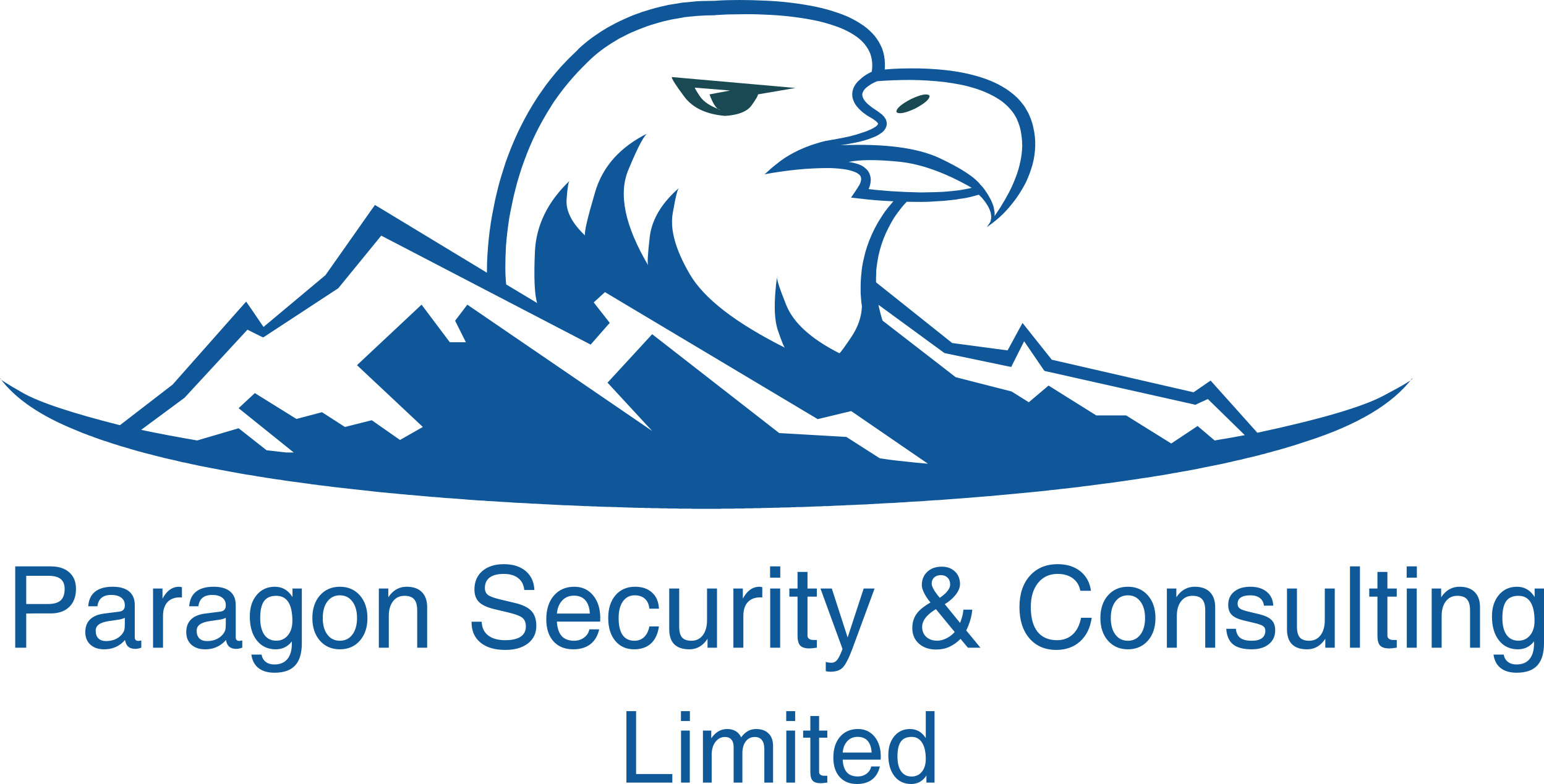 Paragon Security and Consulting Ltd